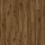 фото Дуб Сьерра (Sierra Oak 58876)